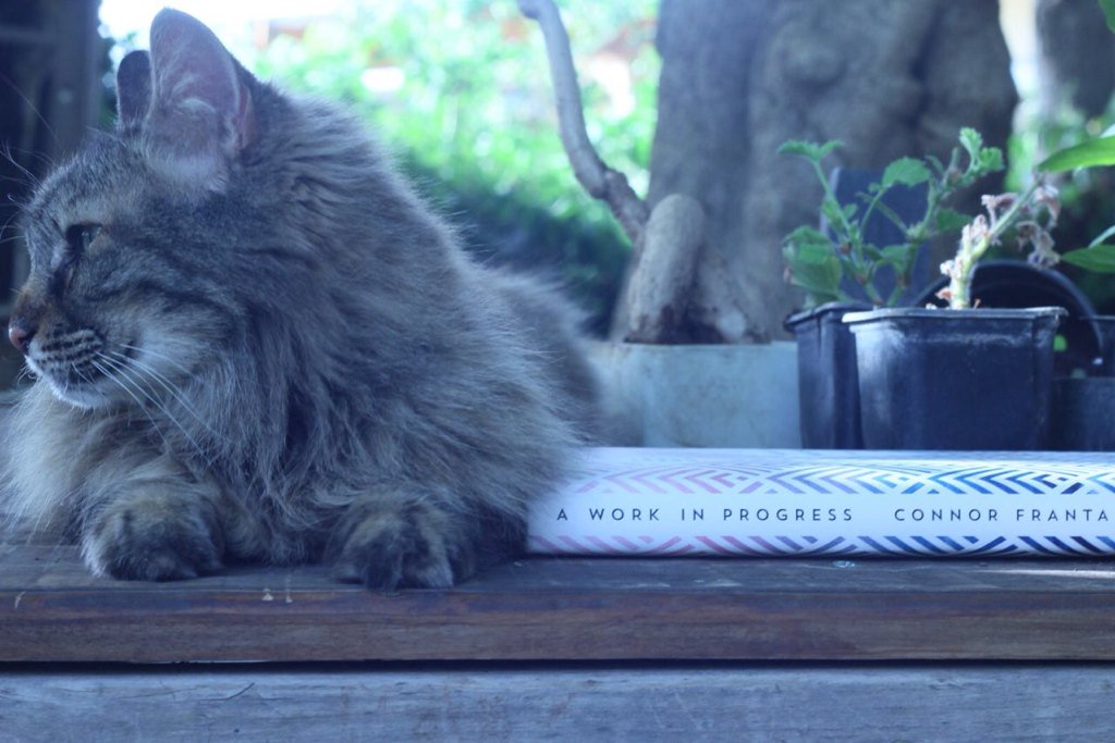 ROCKETCAYLEN's tweet image. something came in the mail all the way from US to Israel yesterday! 
I'm so happy &amp;amp; I love u 💙@ConnorFranta
