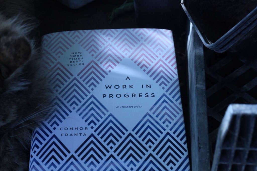 ROCKETCAYLEN's tweet image. something came in the mail all the way from US to Israel yesterday! 
I'm so happy &amp;amp; I love u 💙@ConnorFranta