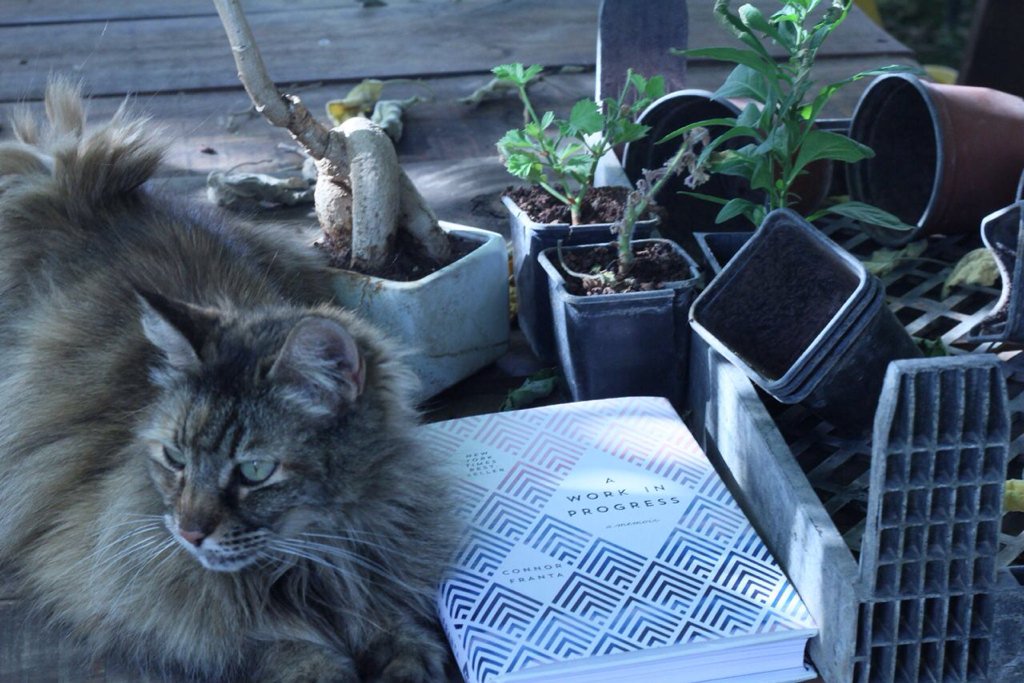 ROCKETCAYLEN's tweet image. something came in the mail all the way from US to Israel yesterday! 
I'm so happy &amp;amp; I love u 💙@ConnorFranta