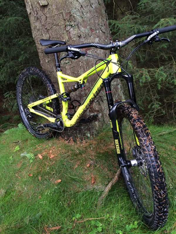ytevo79's tweet image. @Humberbeat my sons Specialized was stolen from Baysgarth School Barton upon Humber today if you could share please