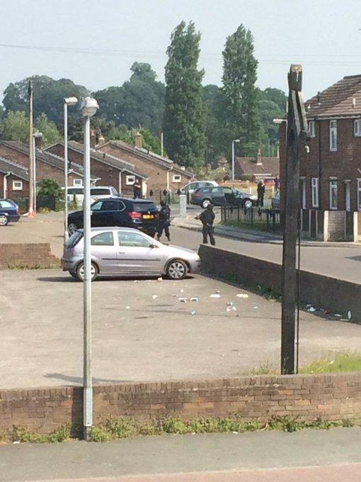 View image on Twitter