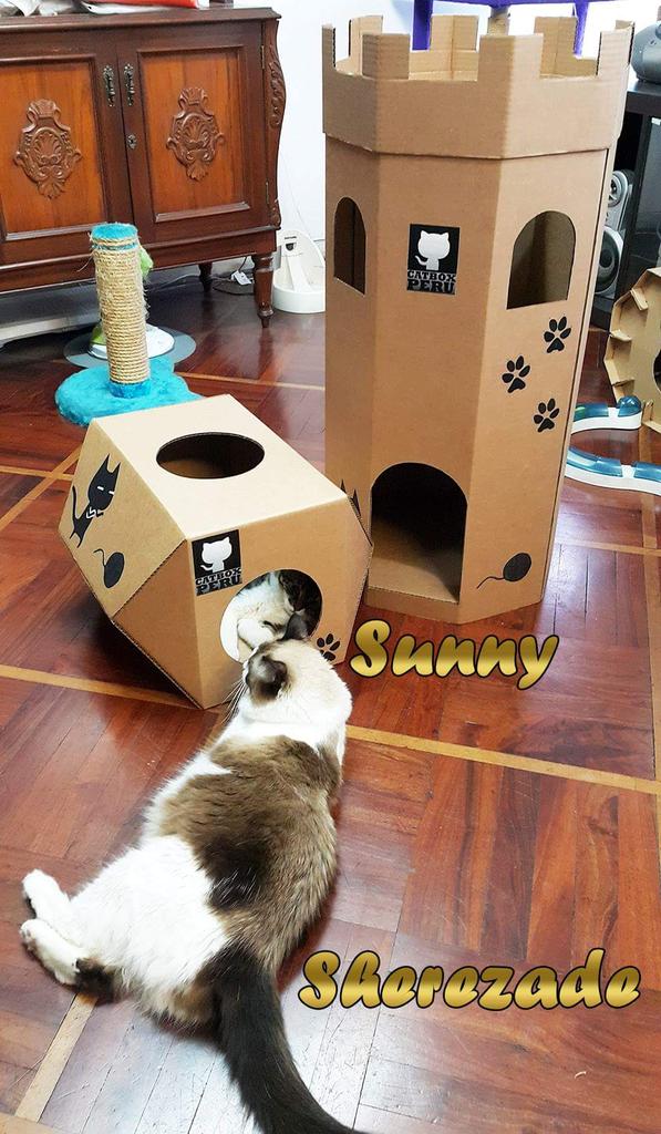 CatBoxPeru's tweet image. "Hacemos gatitos felices"