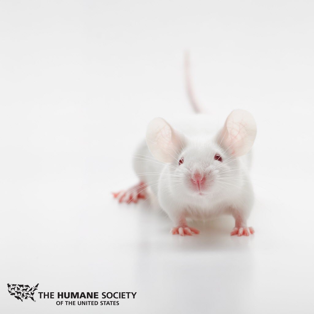 Senate passes landmark legislation to reauthorize the Toxic Substances Control Act: bit.ly/25LZyK2