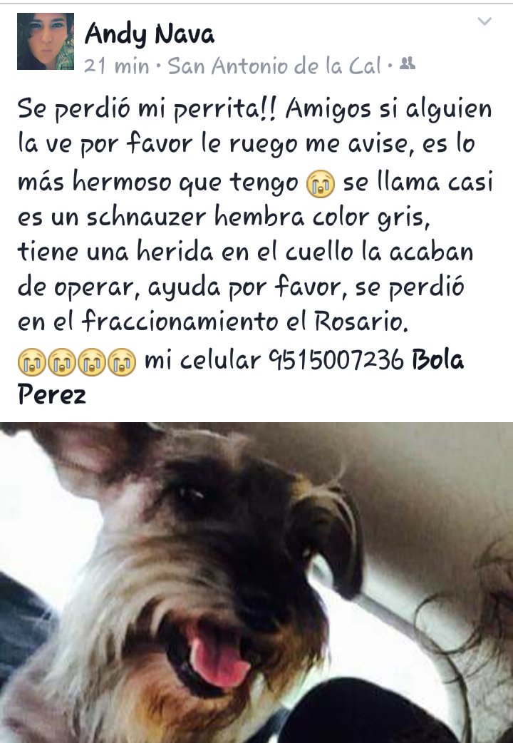 AlAlvarezg's tweet photo. POR FAVOR AYUDAME  GRACIAS https://t.co/qpynCXWmKO