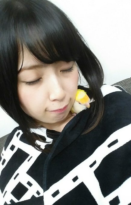 高柳明音のtwitterアーカイブ 16年6月9日 Arkaibu Project48