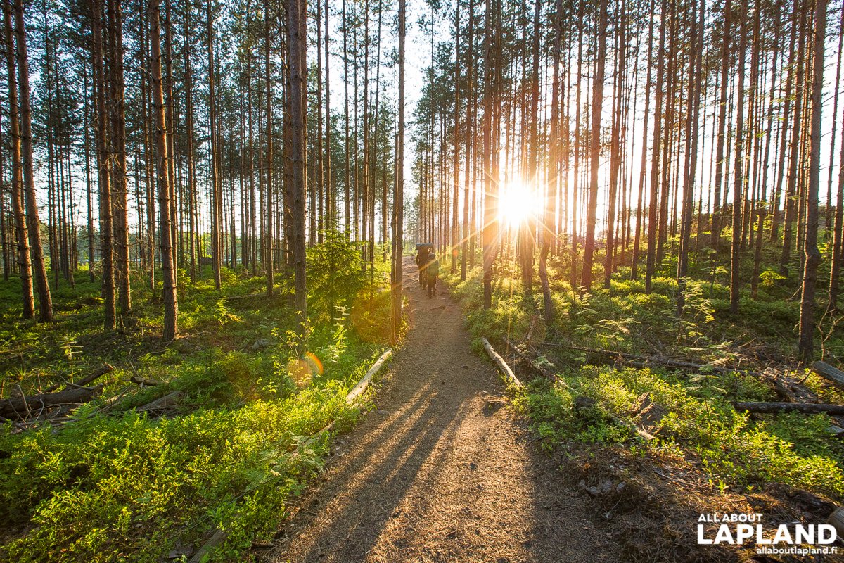 allaboutlapland's tweet photo. Hiking is the best way to enjoy Finnish nature! #Repovesi #NationalPark #OutdoorFinland #Finland https://t.co/Z6bspYL5Nm