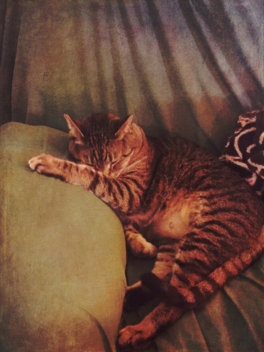 Christopher Stone tweet media