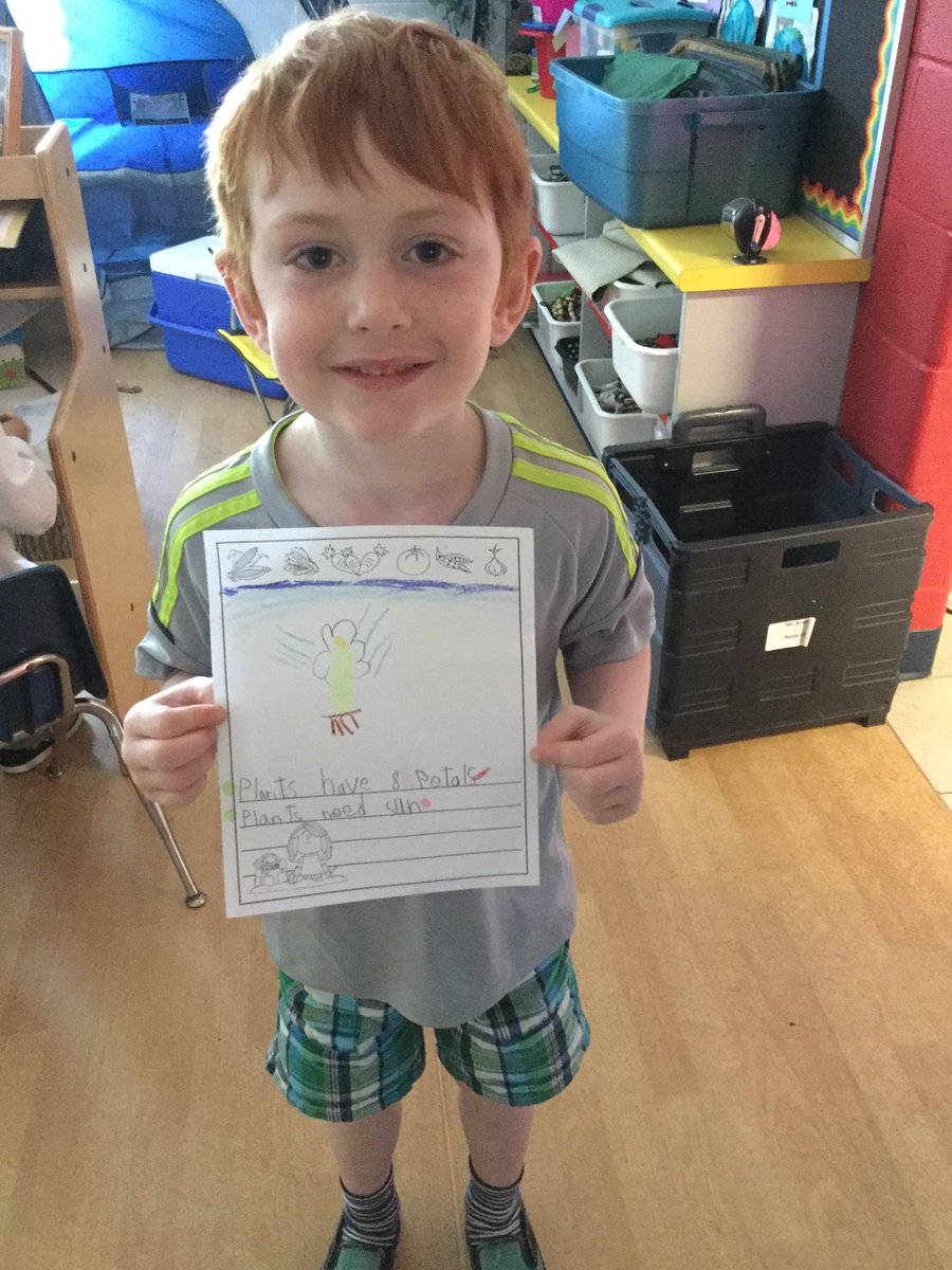 bigredroomstcat's tweet photo. Our busy bodies are making all kinds of plants - we've even got some stories in the making!! #PVNCey #playtolearn https://t.co/oCEni40eqd