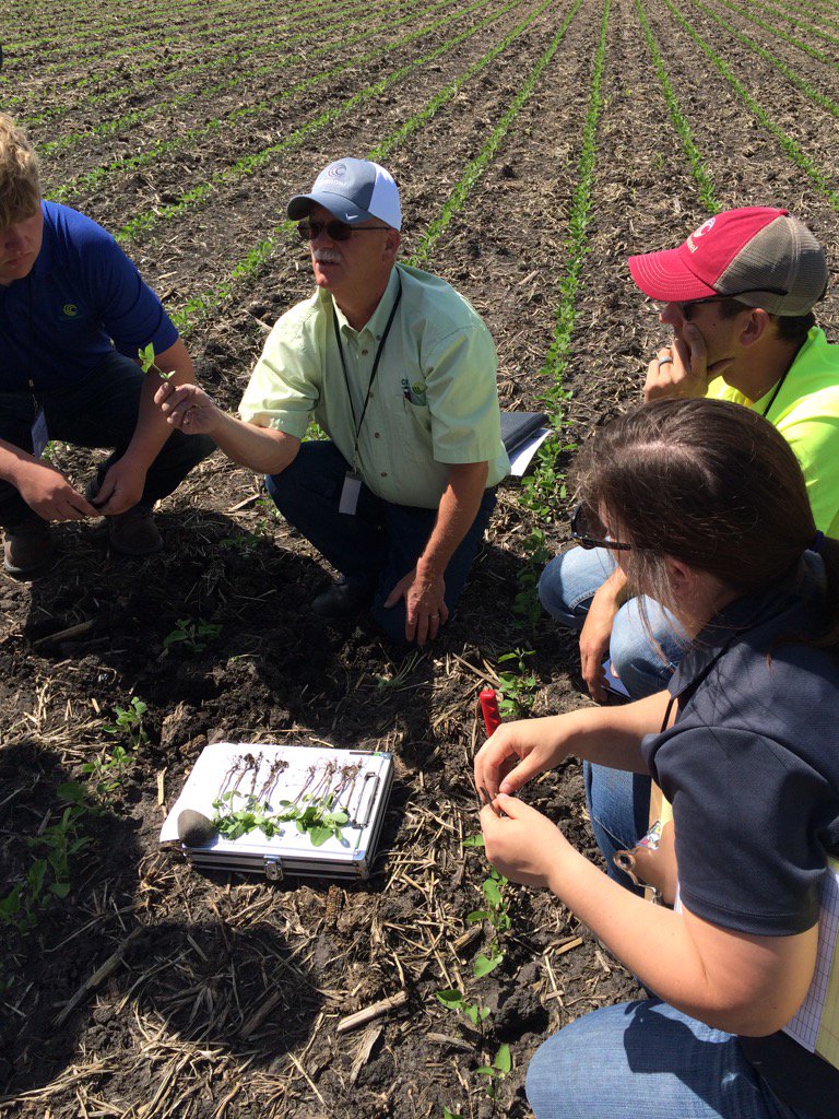 randyramundt's tweet photo. DSM St John talking beans. Northern Iowa Training 2016 @ChannelSeed @Channel_IA #FCUS https://t.co/0X4aKwVxBZ