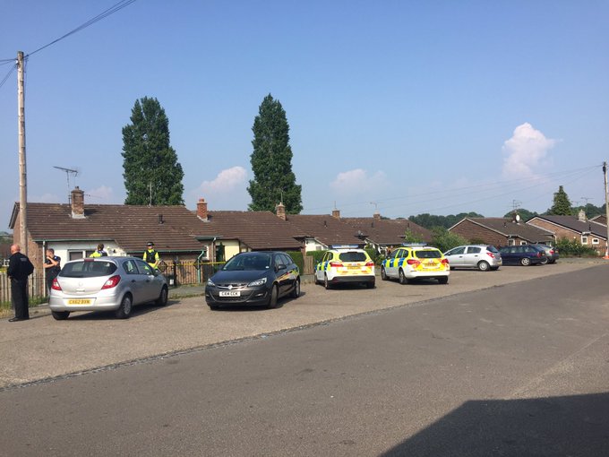 View image on Twitter