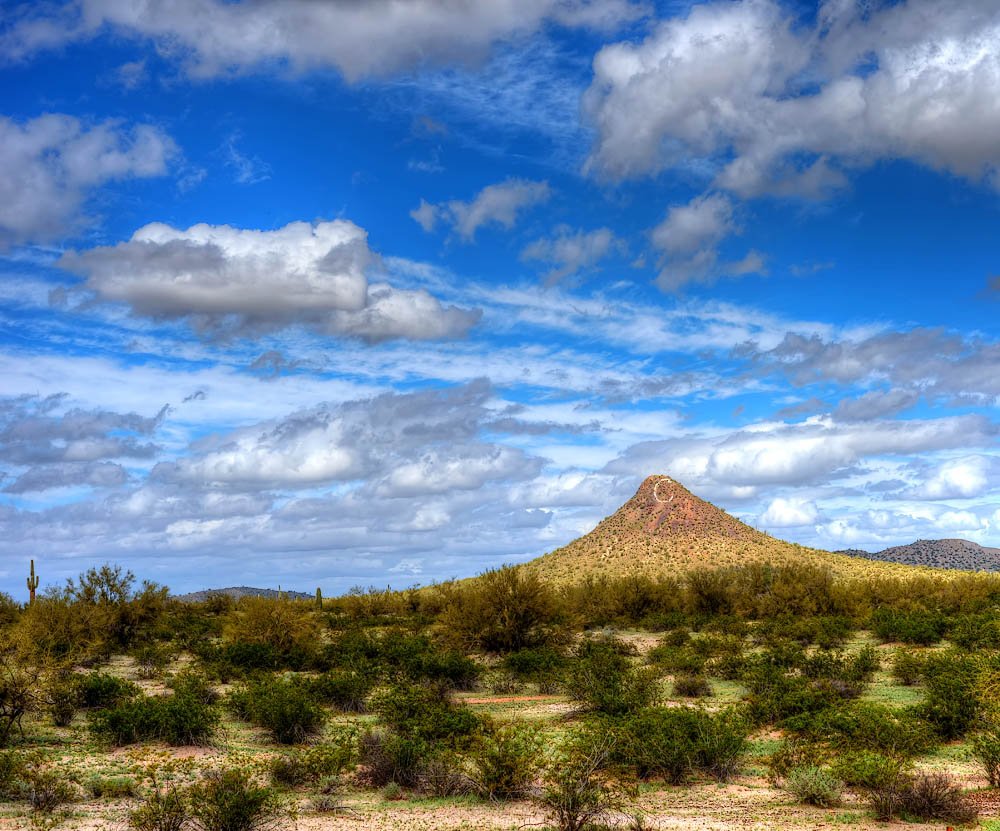 Paul B. Moore tweet media