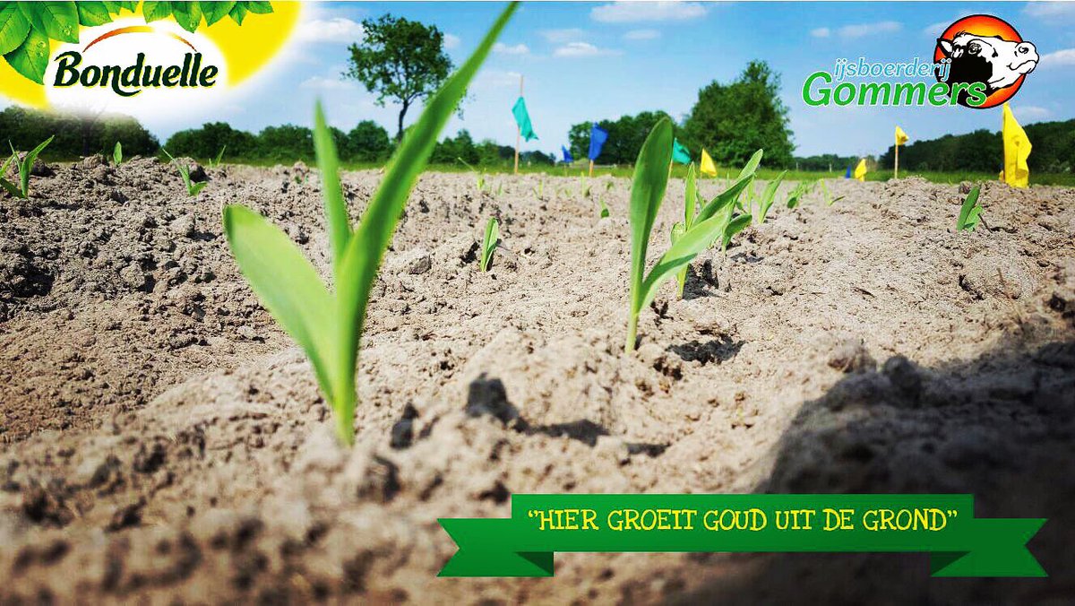 Spannend..Tof project in samenwerking met #Bonduelle is letterlijk aan het groeien! 
#vinddeschatkistmetgoud