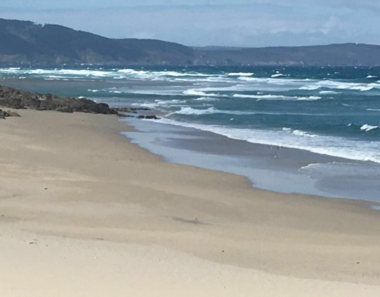 ALCALDEJOS's tweet photo. En el #DiaMundialDeLosOceanos  yo ,elijo el mio el Atlántico,  fuerza y belleza unidos. 
@SESEIXA @GaliciaMaxica https://t.co/GaNn3m7fu5