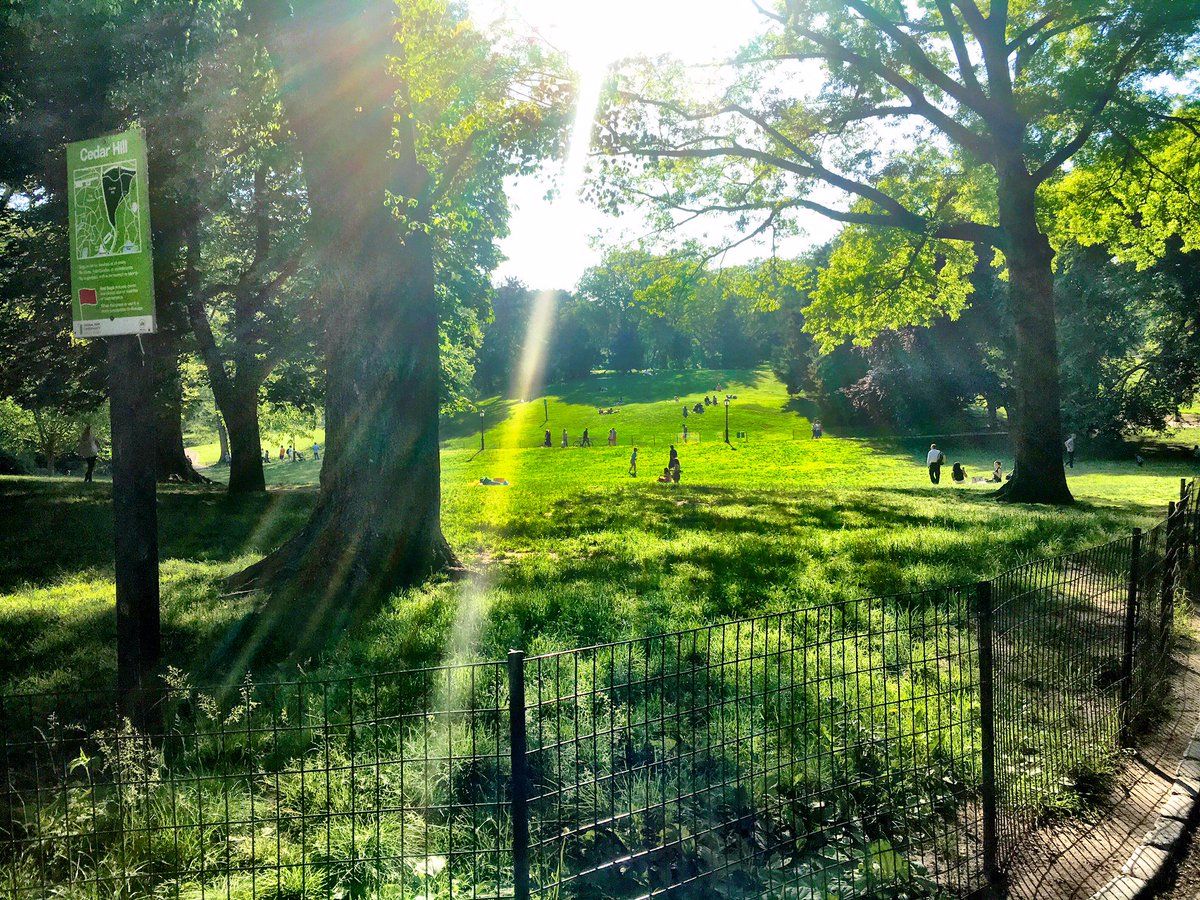 S7tech's tweet image. It was an absolutely beautiful night in central park! #centralpark  #s7technology  #jpmorgancase #corporatechallenge