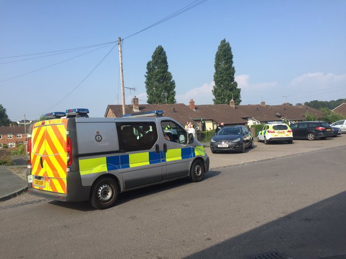 View image on Twitter