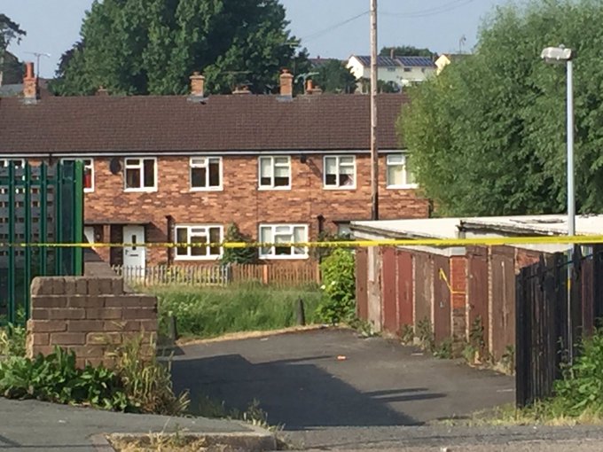 View image on Twitter