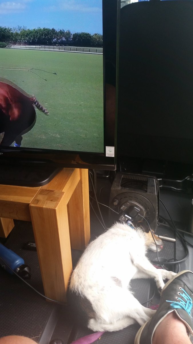 madforitme's tweet photo. Co-commentator relaxing https://t.co/KPGRDoxjRT
