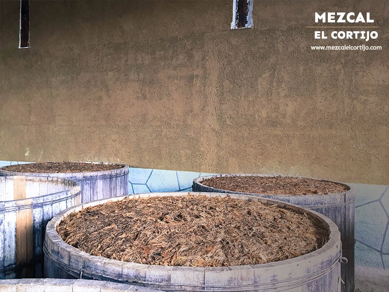 Mezcal El Cortijo tweet media