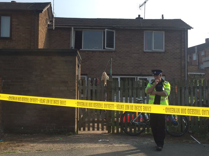 View image on Twitter