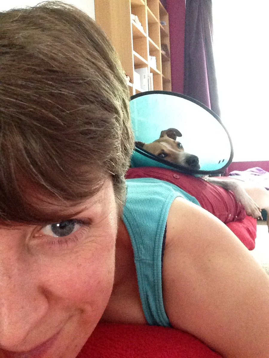tracyjreck's tweet photo. Having a little nap after a busy day. Seems the boy has the same idea. #sleepy #allworkedout #fortodayatleast https://t.co/Hr3qWwbknc