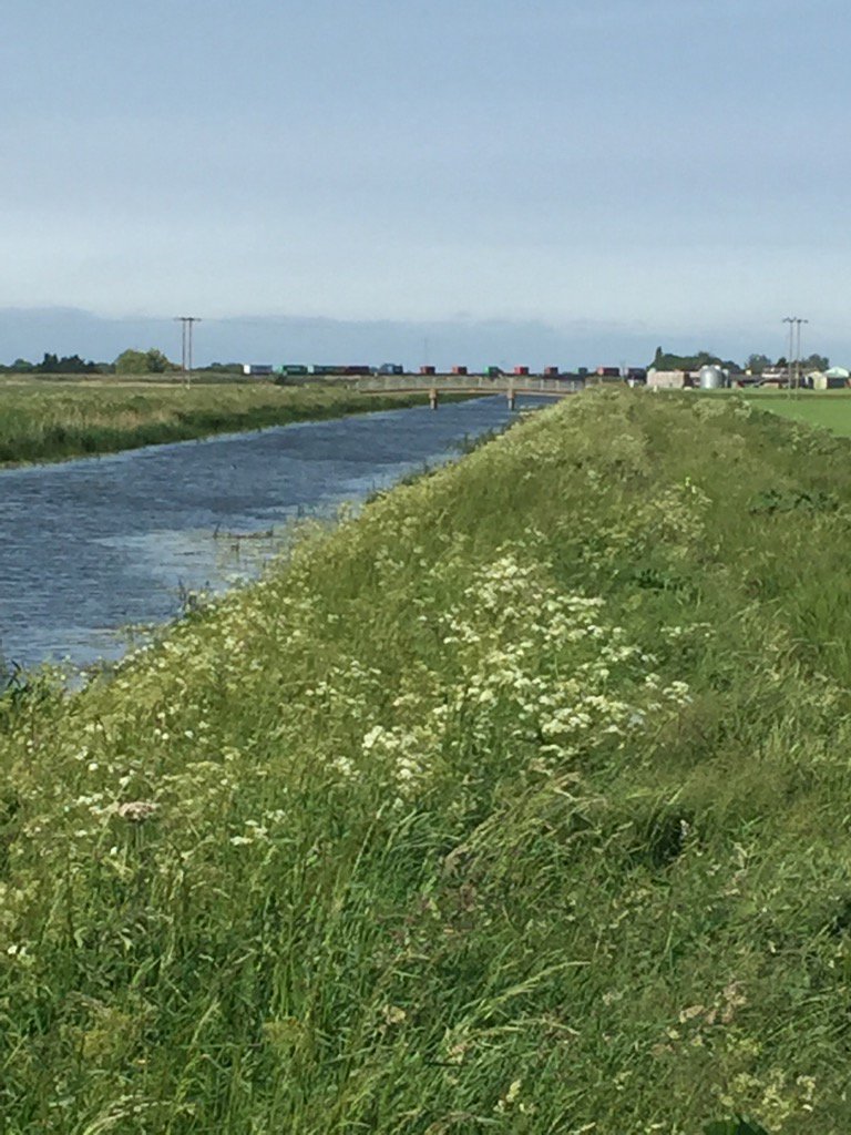 DavidACMaile's tweet photo. Back out on the #HerewardWay today making a report. #TwentyFoot river nr #Turves #Fenlands #HerewardCountry https://t.co/AGBqshgcRn