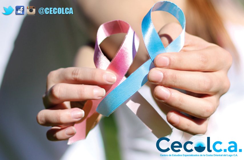 cecolca tweet picture