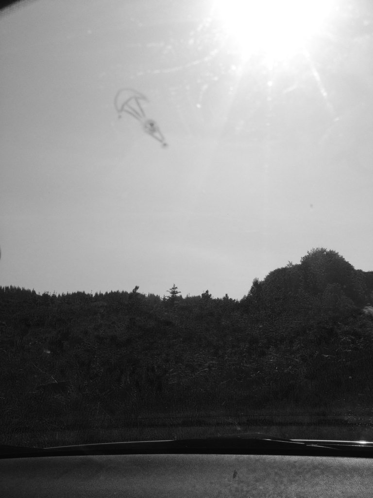 thewarmshoots's tweet photo. 5.23pm - unofficial sighting back of aberfoyle #balloonchasing https://t.co/WphvXggOD5