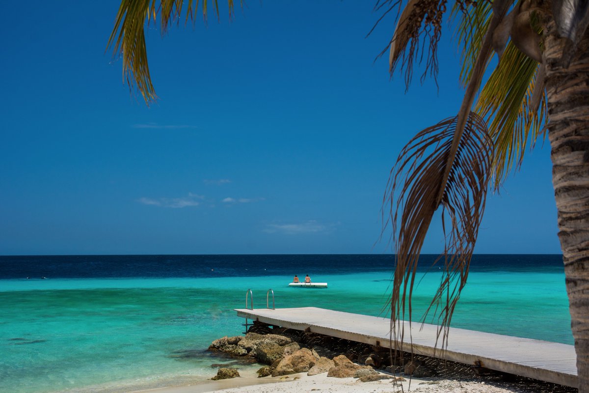 DFSTulsa's tweet image. Tomorrow is the last day for reservations to our Caribbean dinner! Call (918) 296-9889 for reservations. Join us!