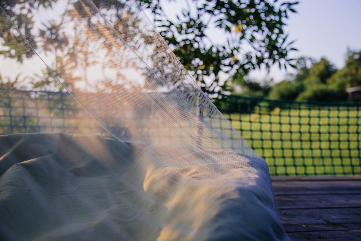 experiencetree's tweet photo. #Breakfast in #treebed in #Slovenia #Ljubljana. @visitljubljana @igslovenia #romantic #outdoors #nature #family https://t.co/R2LqQvzQW8