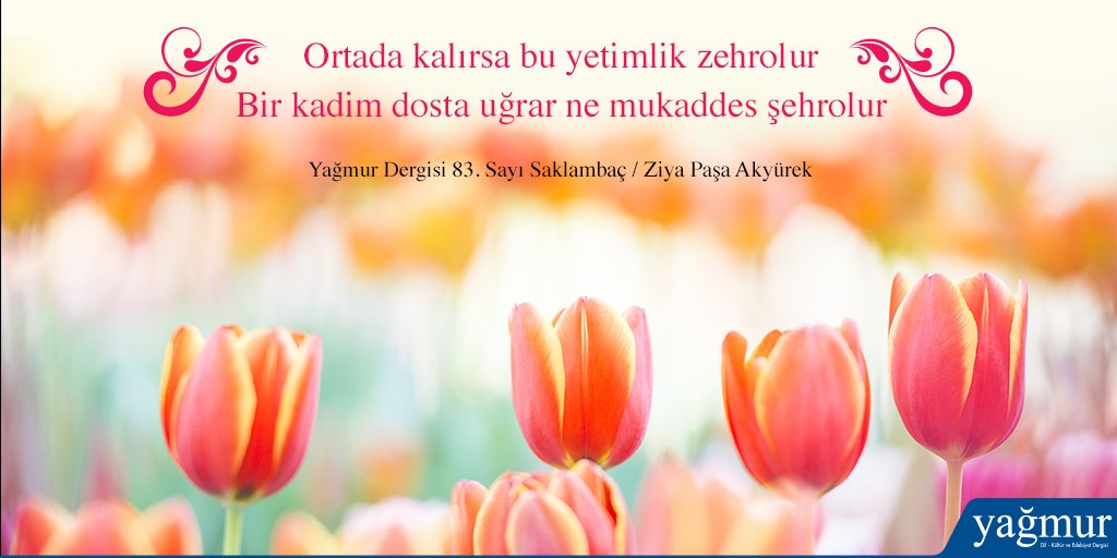 “Saklambaç - Ziya Paşa AKYÜREK” Yağmur dergisi 83. sayıda ►goo.gl/aWhTFZ