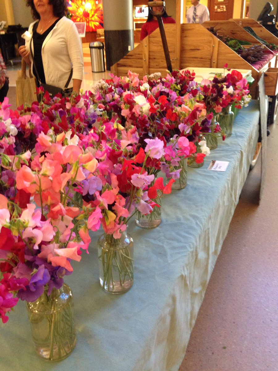 pekyle's tweet photo. Sweet Peas aren't just good on salads. @FarmatStJoes selling  amazing smells @stjoes_health #WellnessWednesday https://t.co/5FASVD2Dyo
