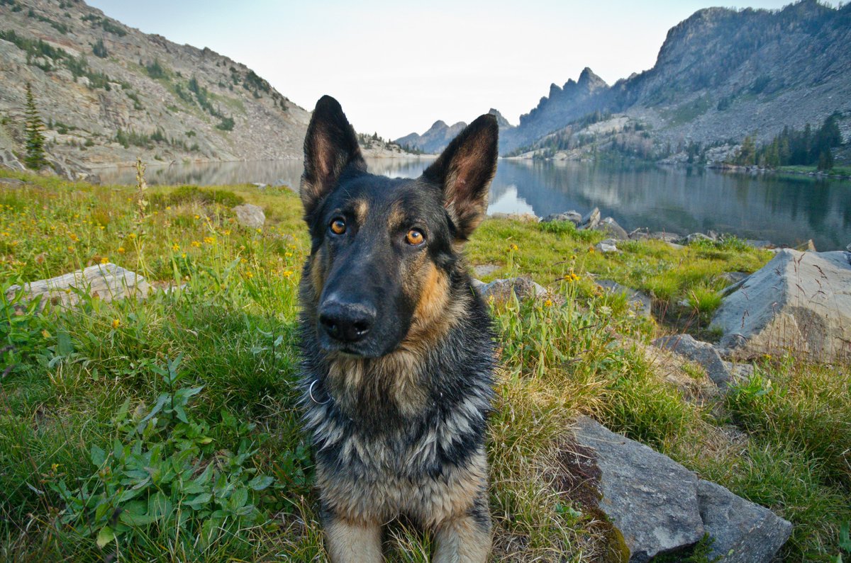 Share the Experience tweet media