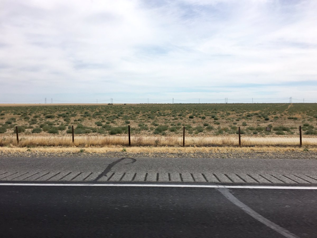MOXXX's tweet photo. My view is a whole lot of nothing on this part of my trip to Sacramento. #FightForPorn https://t.co/P4rxHDWSb5