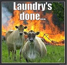 RhiDelicates's tweet photo. Don't go to this extreme call Rhi's Delicates on 07876219438 or 01685 550962 or pm me, we will do the jobs you loath https://t.co/69B6QjBz8p