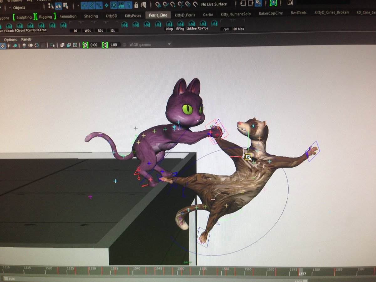 (=^‥^=)丿 KittyD tweet media