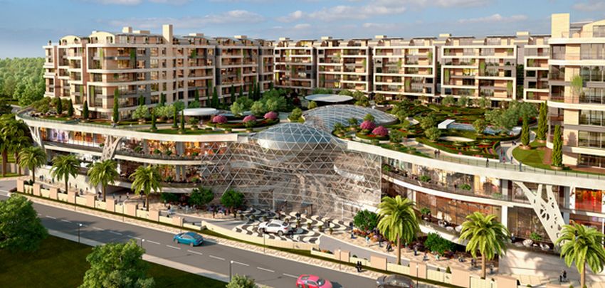 #Reedix #RealEstate #Realty