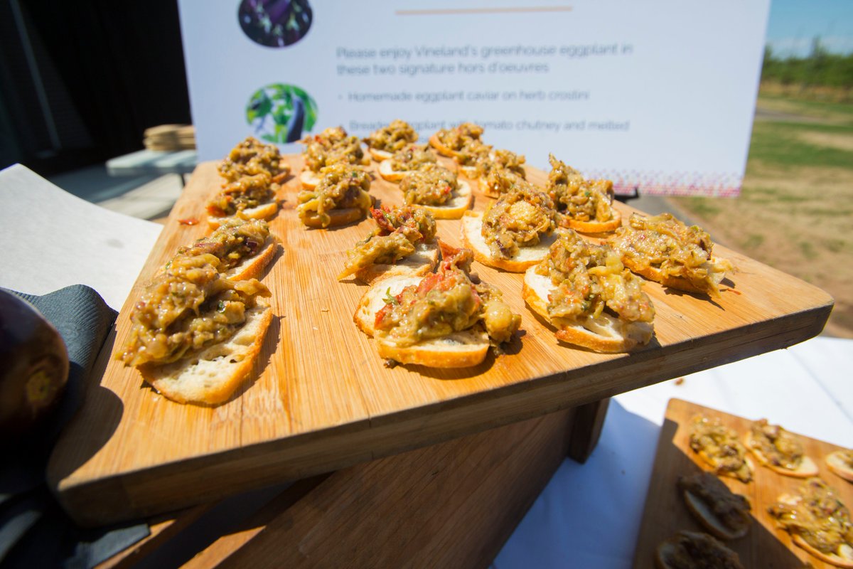 vinelandrsrch's tweet photo. Two delicious #eggplant #recipes were featured at our new #greenhouse opening June 3 #Feastivities #LocalFoodWeek https://t.co/98NnwQbkUV