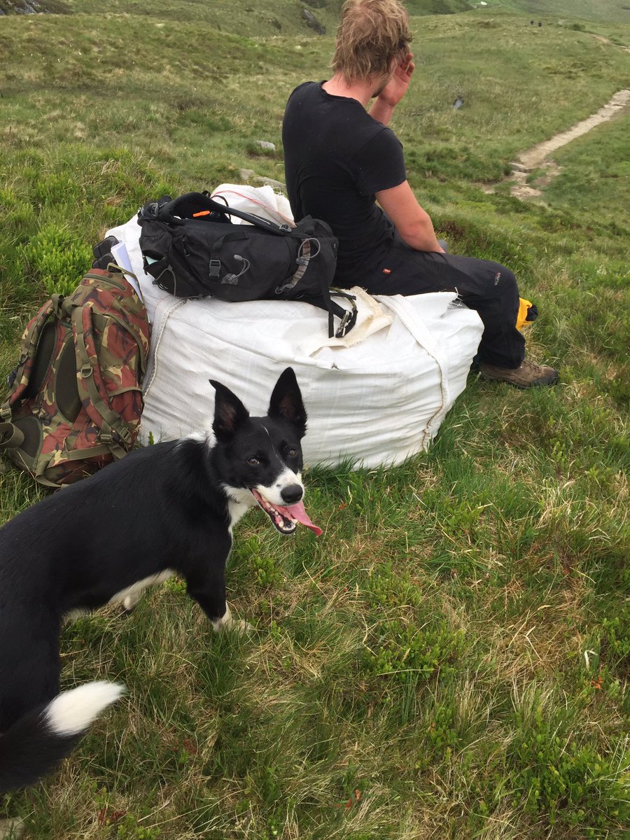 Gillw10's tweet photo. Path surveying with Laika and the gang on #benlomond and #beinglas for site 2 @mountainspeople @lomondtrossachs https://t.co/BXqWG5pvnU