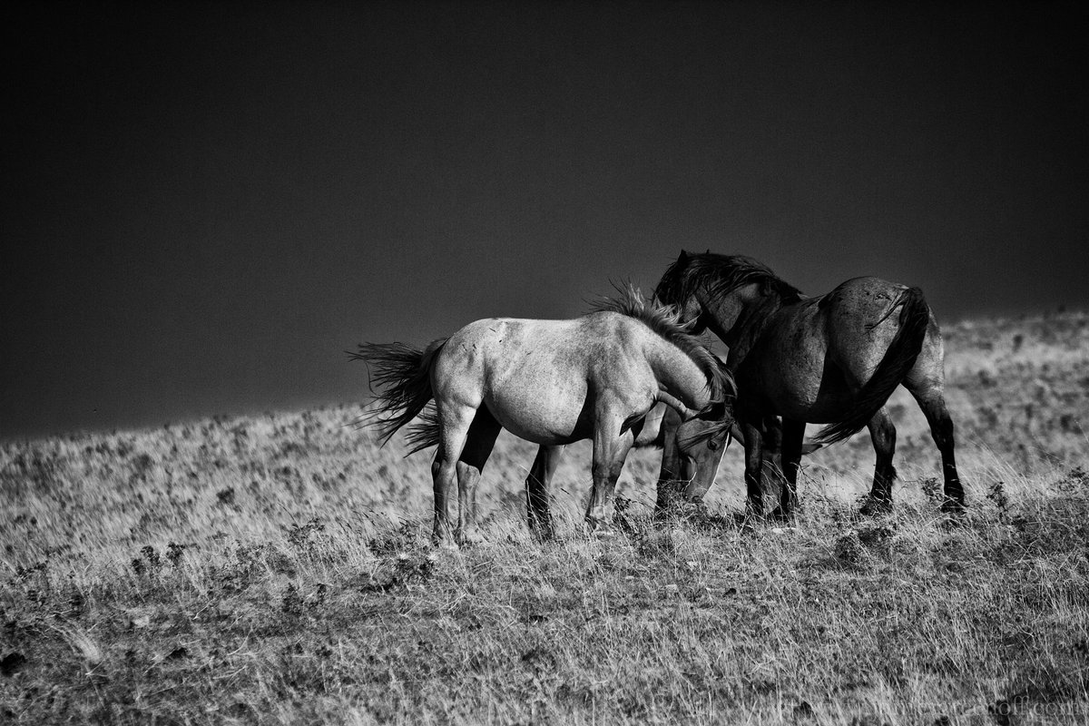 Photography Umbria tweet media