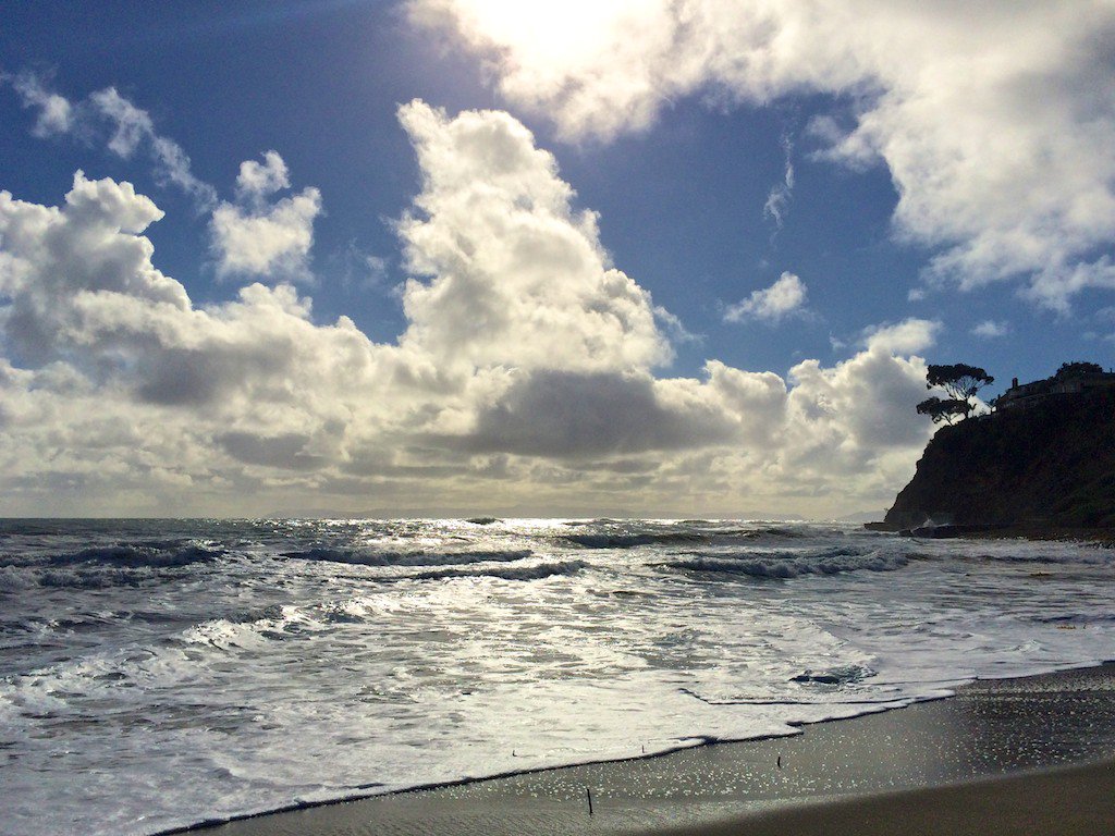 Happy #WorldOceansDay! We'll be celebrating with a day of activities June 11 bit.ly/1U7GvkR