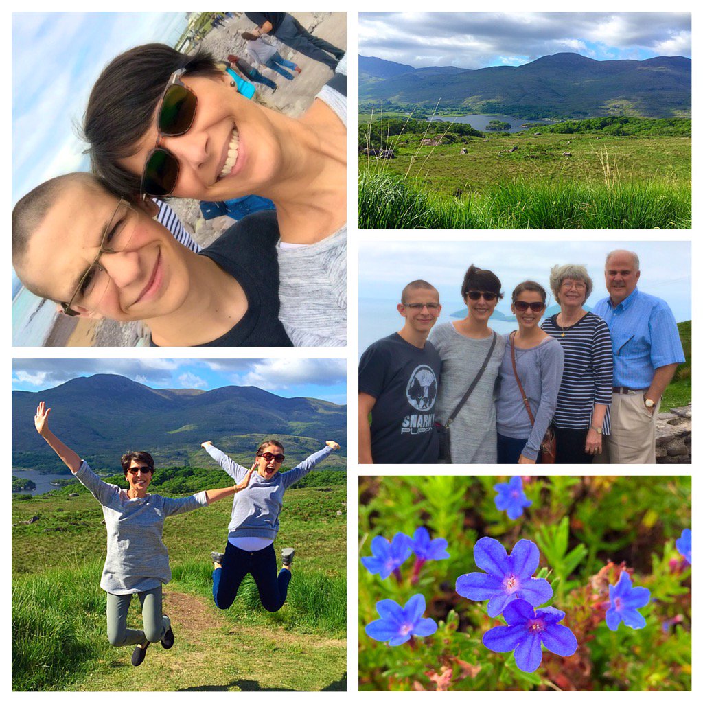 CookInJeans's tweet image. Ring of Kerry: beautiful Irish green!