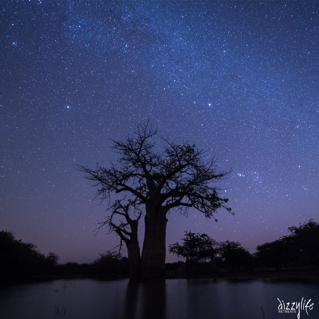 Dizzylife_Ret's tweet photo. Beautiful stars in South Africa. #wanderlustwednesday #stars #dizzyliferetreats https://t.co/q1HVopo4Pm https://t.co/wP8IwffsR0