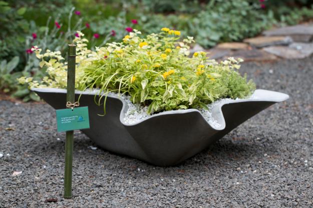vcreekgarden's tweet photo. Sea Shell-Inspired Flower Planter - https://t.co/A05j2l0i2b
#BeachInspiredPlanter #SeashellPlanter #Seashells https://t.co/eD1zD4TqrM