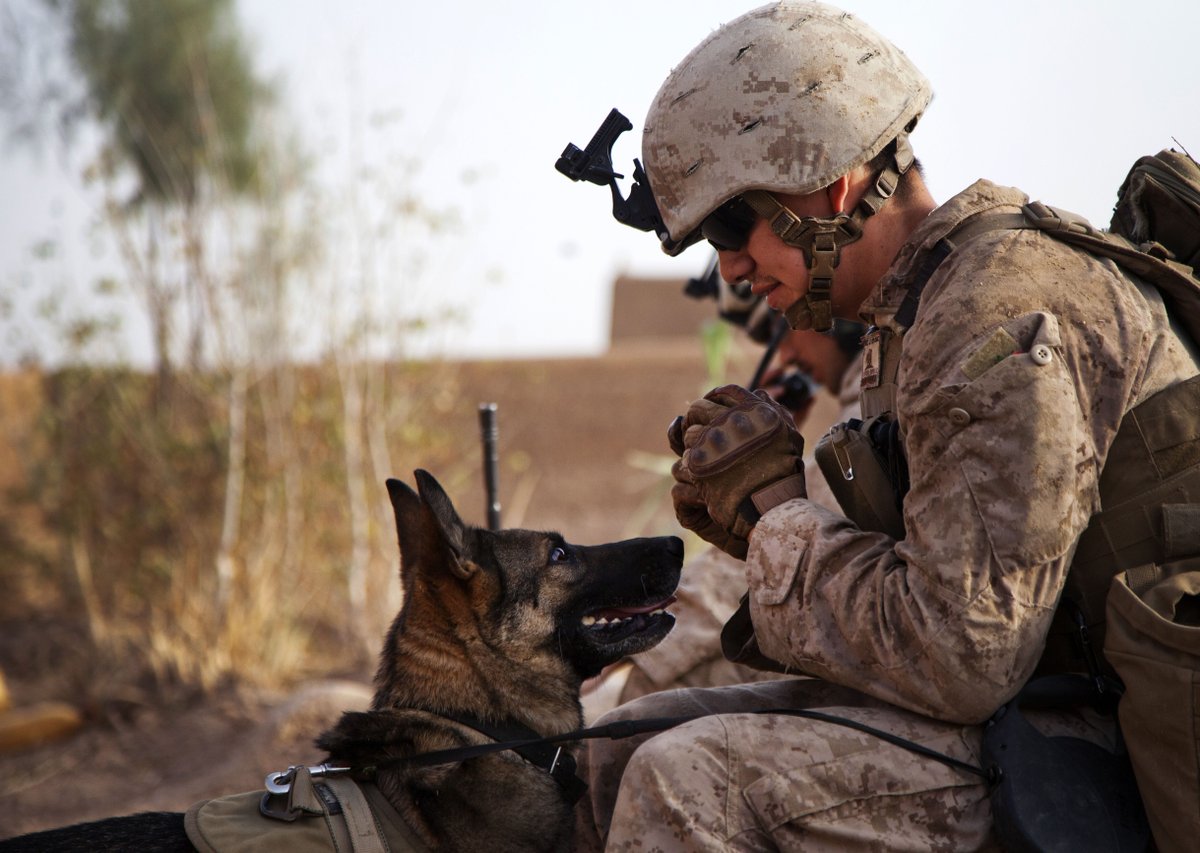 USMC's tweet photo. Happy #NationalBestFriendsDay, Devil Dogs! https://t.co/NVOnS0vEZp