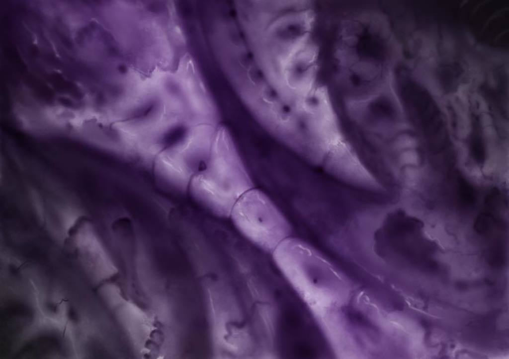 TheTattooNomad's tweet photo. Today's juicy digital painting. #biomech #biomuck #organictextures #Paintstorm #ipadpro @b⦠https://t.co/qAGFkDFbIo https://t.co/zhY9GOrJoX