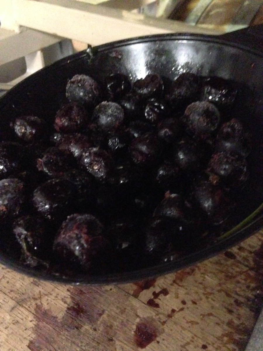 Adding cherries to saison and sour bigwig in wine barrels. #sourbeer #sour #cherry #barrelagedbeer #craftbeer