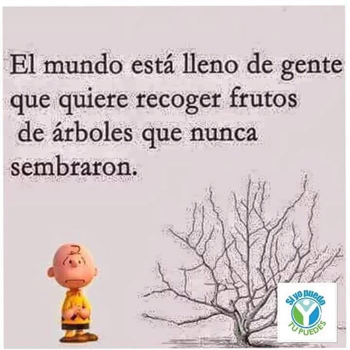 ElyUsuga's tweet photo. Muy cierto!!! https://t.co/AqEzPbCHOn