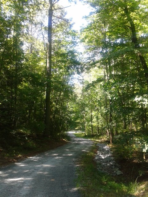 "And what is so rare as a day in June? Then, if ever, come perfect days..." ~ James Russell Lowell #northgamtns