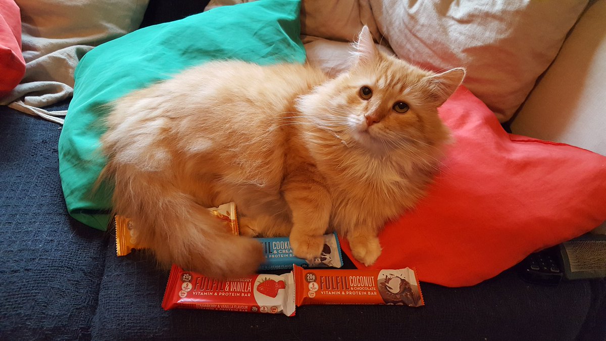 RuthyMcD's tweet photo. Only in the door from @fulfil #FlavourLab and #SeamusTheCat has taken hostage of my bars!! #BarsWithBenefits https://t.co/mMNM3SVgOG