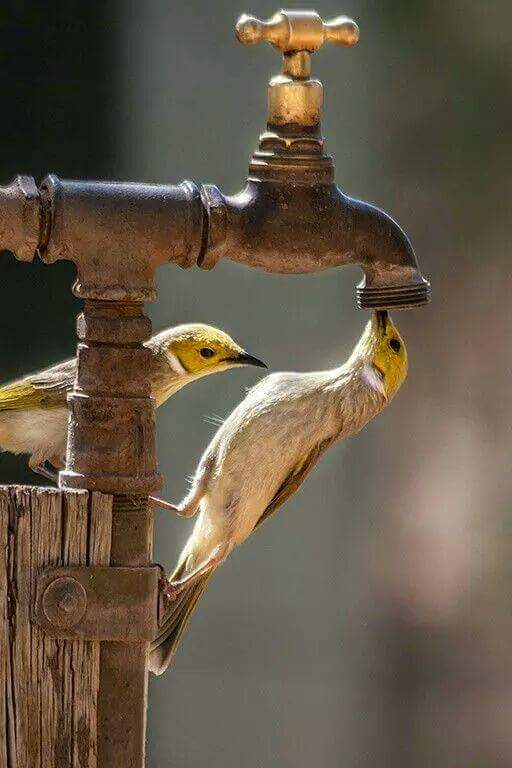 Bhargav_patel29's tweet image. 